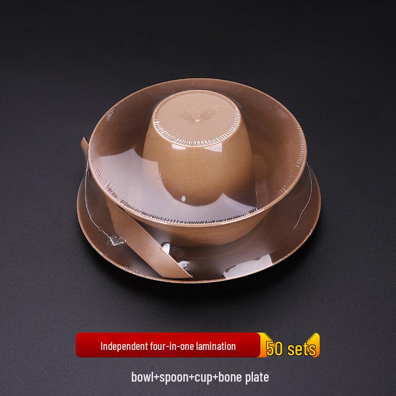 Disposable Tableware Set