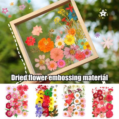 1 Sæt Tørrede Pressede Blomster Kit Farverige Naturlige Blomster DIY Kunst Håndværk Forsyninger Resin Smykker Epoxy Form Lys Sæbe Vase Fremstilling Negle Kort