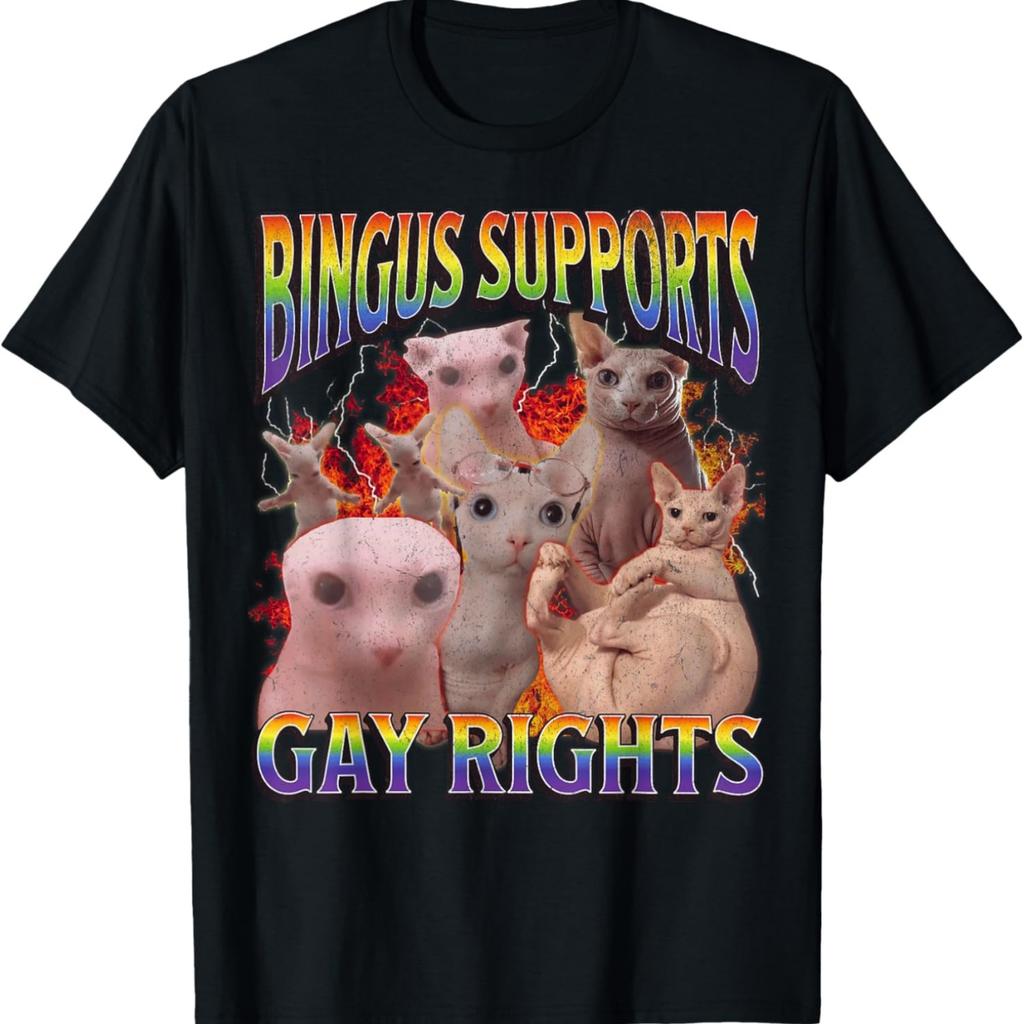 Bingus Supports Gay Rights Funny Sphinx Cat Meme Bootleg T-Shirt