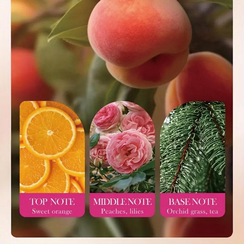 Die Haut ist weiß, mit Feuchtigkeit versorgt und genährt, Faltenreduzierungscreme, sanft und nicht reizend, strafft die Haut und hellt den Teint auf