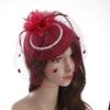 Fascinator Elegant Retro Birdcage Veil Hat Black Veil Top Hair Accessories Bridal Face Veils