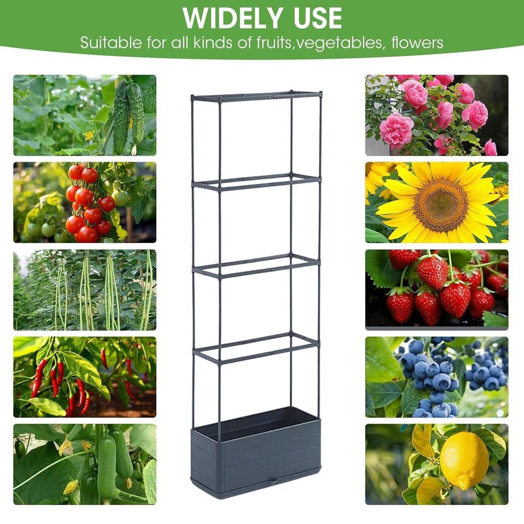 Tomato Planter Vertical Growing Container Tomato Cage with Trellis for Garden Outdoor Indoor Greenhouse Patio Balcony Terrace