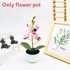 Phalaenopsis Potted Simulated Artificial Artificial Flower Ornament Desktop