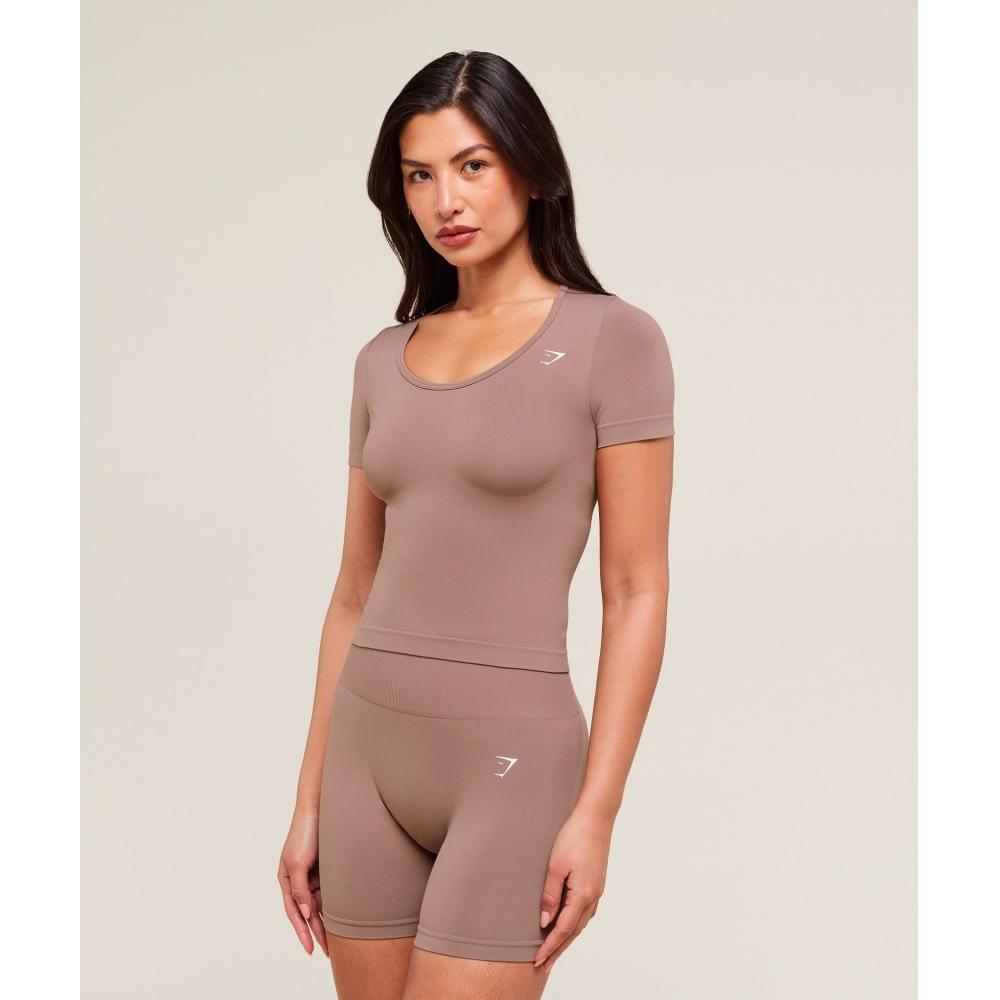 Gymshark Everyday Seamless Tight Fit Crew Neck Tee Chestnut Pink B3b1o Kcpn