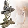 Realistisches Plüsch-Kaninchen-Hundespielzeug, langlebig, kaubeständig, quietschendes Spielzeug für kleine Hunde