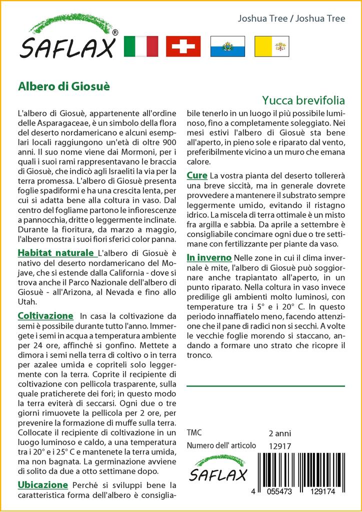 SAFLAX Joshua Tree - 10 Seeds - Yucca Brevifolia