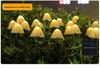 Solar-Powered Waterproof LED Mushroom String Lights for Outdoor Gardens