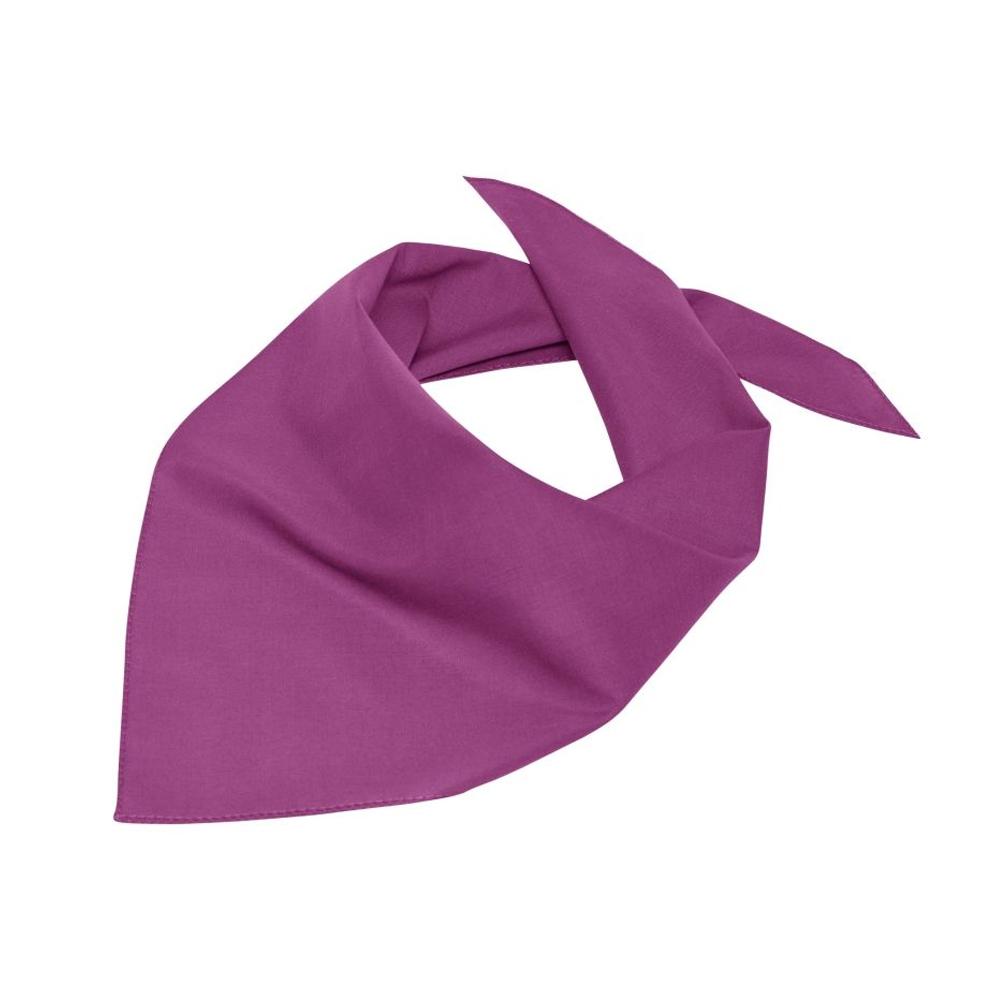 Myrtle Beach Triangular Scarf