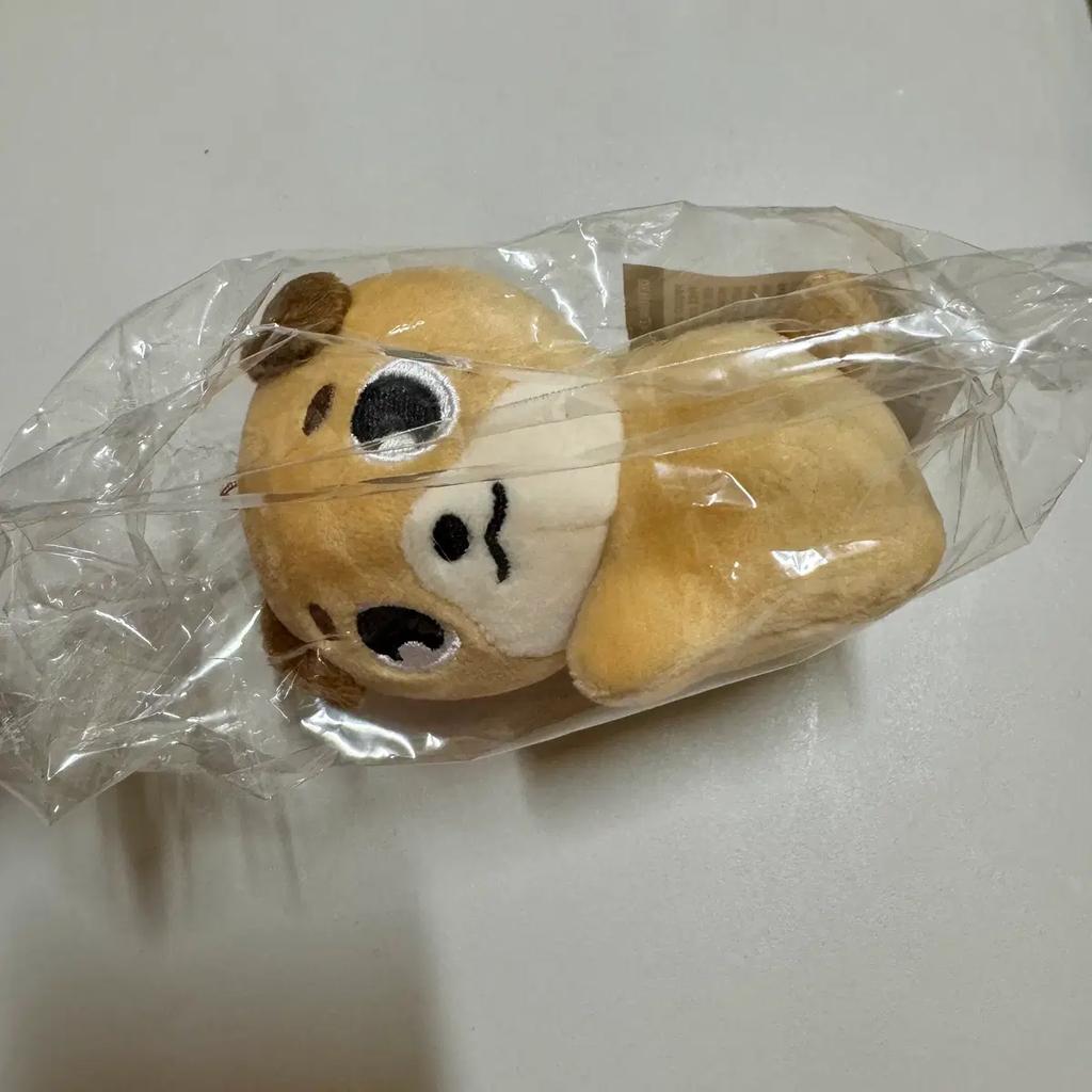 DAY6 Denimals Plusle Hand Warmer (money)