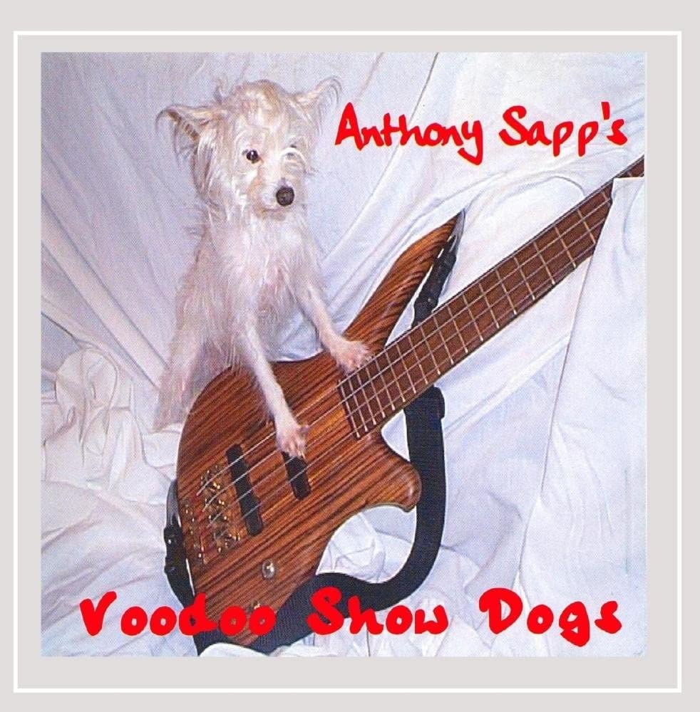 

CD SAPP, ANTHONY - Voodoo Show Dogs Non Japan Music Others Used