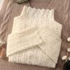 2024 Stylish Brushed Fleece Lace High-Neck Top - Thick Autumn/Winter Temperament Long Sleeve