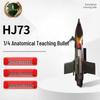 Xingronghui HJ73 Quarter Dissected Bomb Training Model