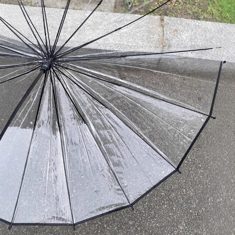Explosive Element Transparent Umbrella Umbrella Simple Fresh Gift 16 Bone Long Handle
