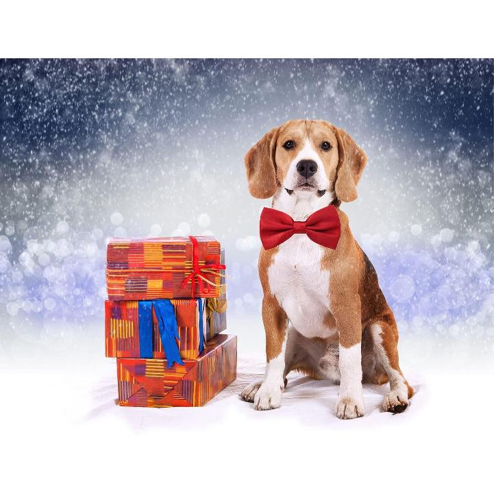 Amajiji Formal Dog Bow Ties for Medium & Large Dogs (D114 100% Polyester) (Dark Red)
