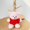 Wearable Teddy Bear Keychain Pendant – Plush Toy Gift for Graduation Season with Logo Print