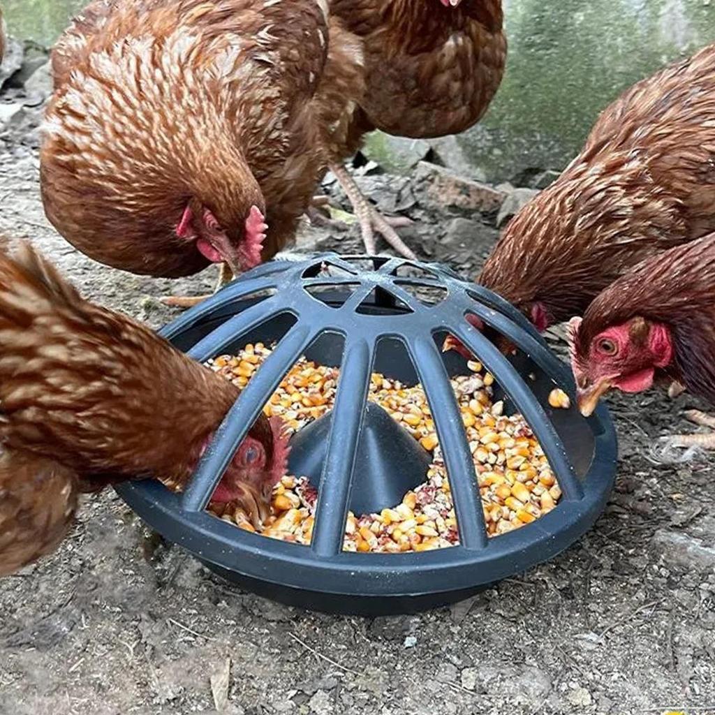 Chicken Feeder feed Bucket Animal Husbandry Supplies Farm Portable Dispensing Tray Goose