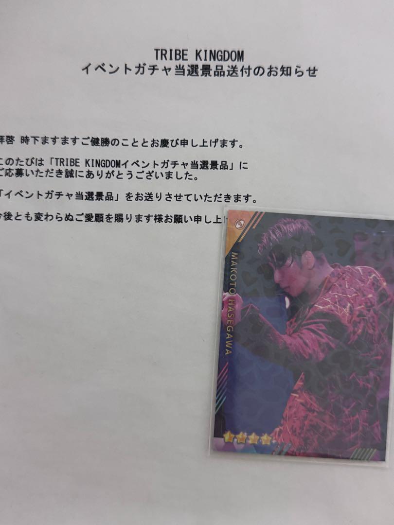 

[USED] THE RAMPAGE Hasegawa Shin Trakin Real Card