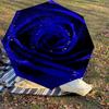 1PC blue rose Automatic Open/Close Umbrella with Windproof, 8-Rib Sturdy Canopy, Durable Ribs, Fashionable Design,1288a