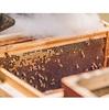 I'm From Honey Mask 120g – Nourishing Wash-Off Mask with Real Honey