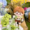 Wang Yuan 20cm Yuanyuan Celebrity Cotton Plush Doll - Festival Gift Toy