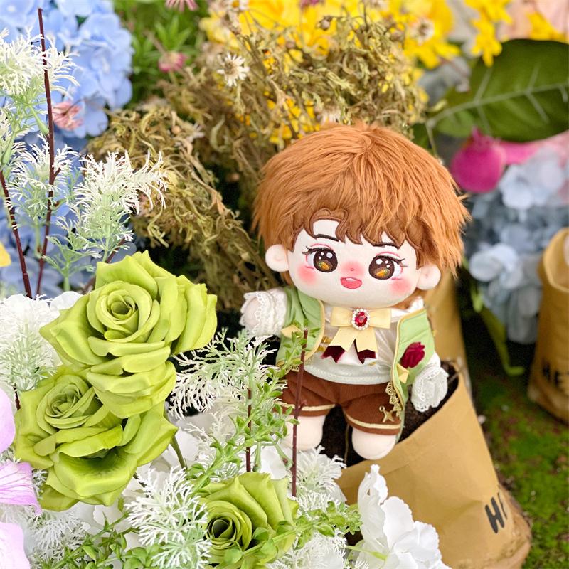 Wang Yuan 20cm Yuanyuan Celebrity Cotton Plush Doll - Festival Gift Toy