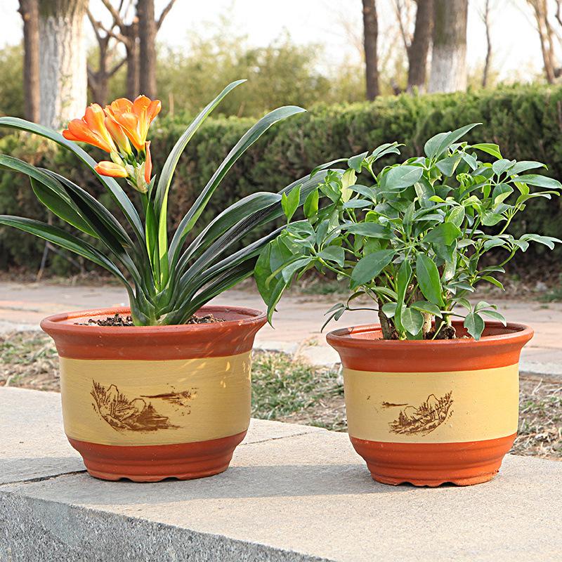 Extra Large Ceramic Clivia Terracotta Flower Pot - Breathable Purple Clay Bonsai Planter with Free Shipping