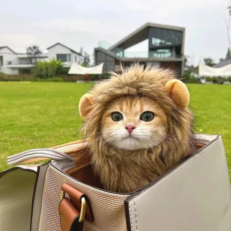 Cat Cosplay Dress Up Pet Hat Cute Lion Mane for Cat Puppy Lion Wig Costume Party Decoration Halloween Christmas Gatos Costume Cosplay Toy Pet Supplies