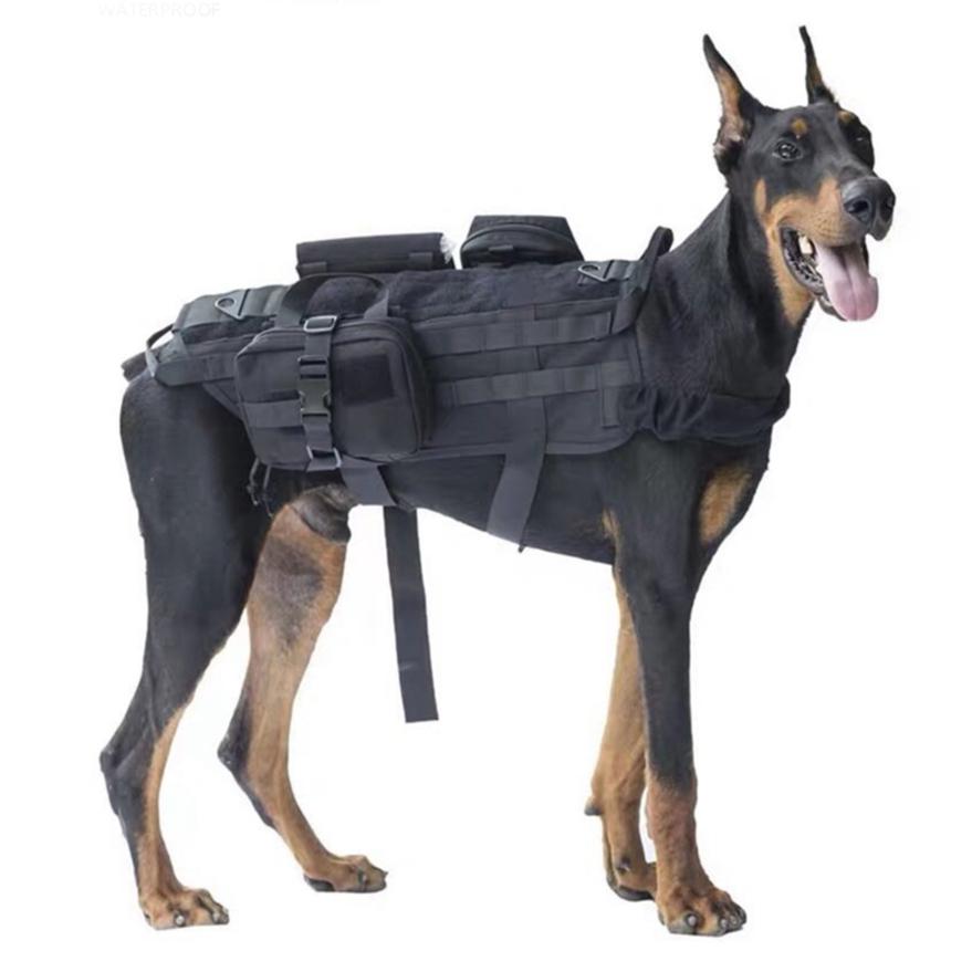 dog training clothes