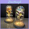 Eternal Rose Flower In Glass Led Light Romantic Valentine's Day Gift