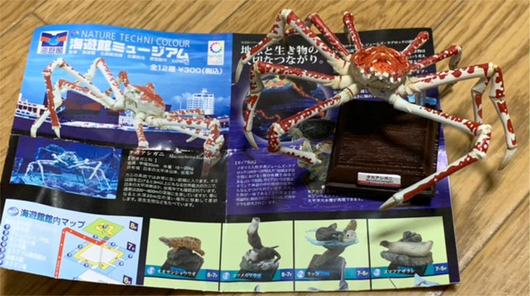 

[USED] Nature Technicolor Kaiyukan Museum Spider Crab Figure