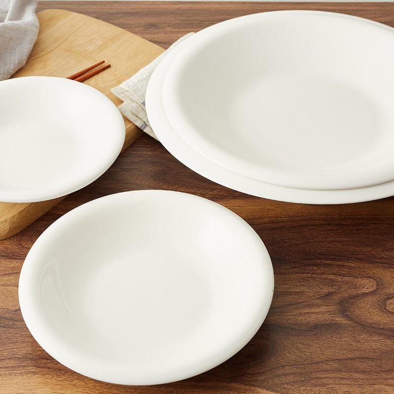 

ZISIZ Ceramic Dinner Plate