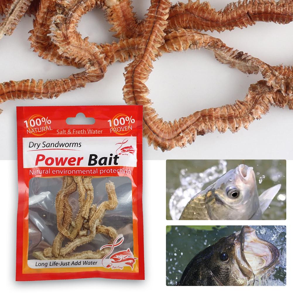 1-10pcs Dry Sandworms Fishing Lures Lifelike Dry Lugworm Sandworms Artificial Sea Worms for Saltwater and Freshwater Fishing