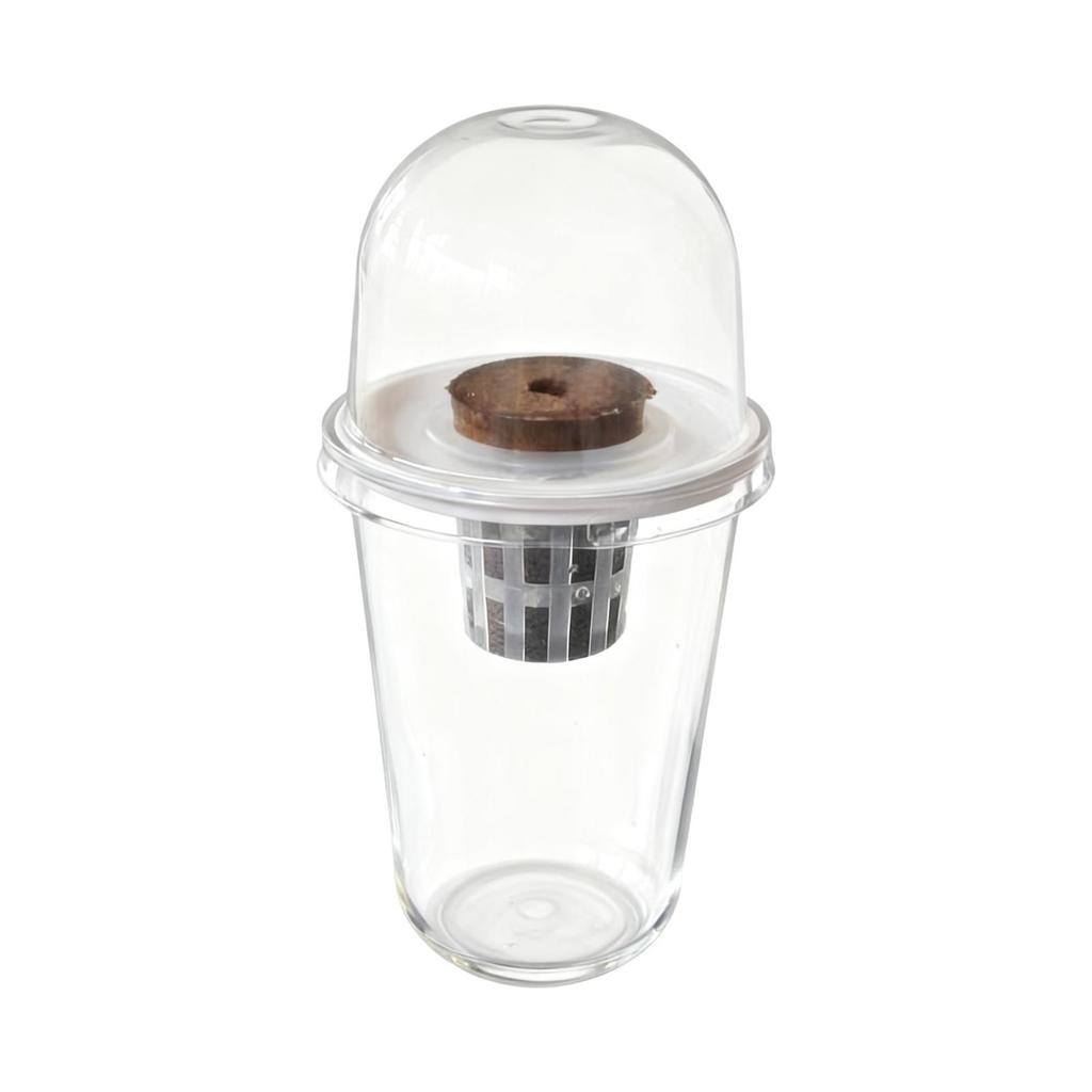 Kit Vaso per Coltivazione Idroponica Set Completo per Germinazione Piante per Balcone Lattuga Barbabietola Colza Prato e Giardino Didattica