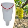 Grape Dipping Cup Lightweight Fruit Infuser Gardening Maintenance Tool for Vineyard Farm Home Grape Growth