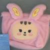 Brand New) Mini Teen Yoon Jeonghan Seventeen Jongtoram Pouch Transfer