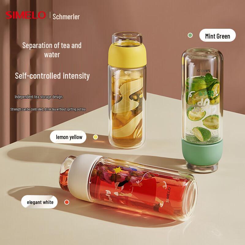 Shimeile Double-Walled Glass Tea Bottle with Infuser