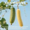 NEW Teeth Cleaning Loofah Toys Fiber-Rich Handmade Rabbit Chew Toys Natural Chewable Texture Hamster Chews Dental Care