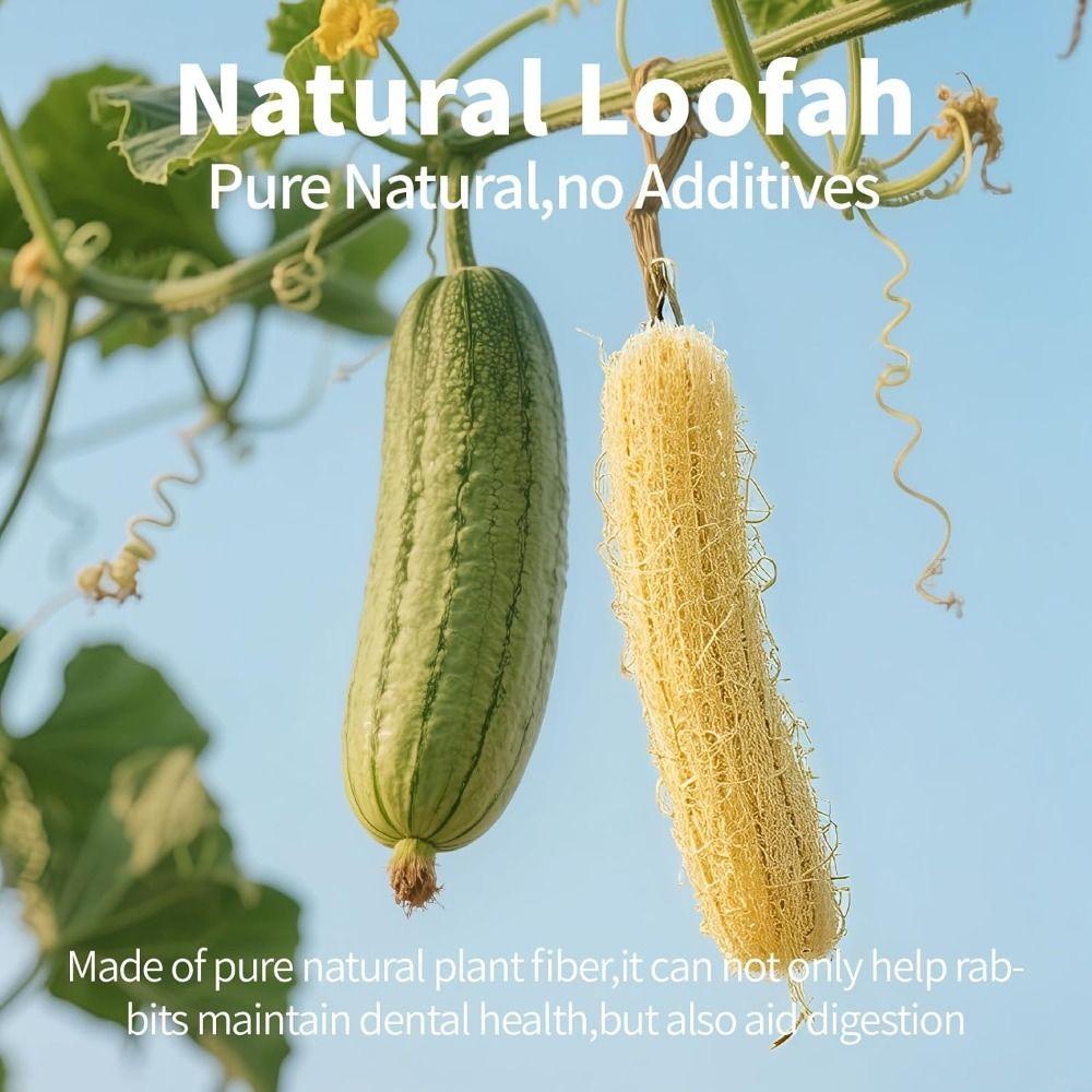 NEW Teeth Cleaning Loofah Toys Fiber-Rich Handmade Rabbit Chew Toys Natural Chewable Texture Hamster Chews Dental Care