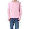 Polo Ralph Lauren Classic Sweatshirt 710766772-018