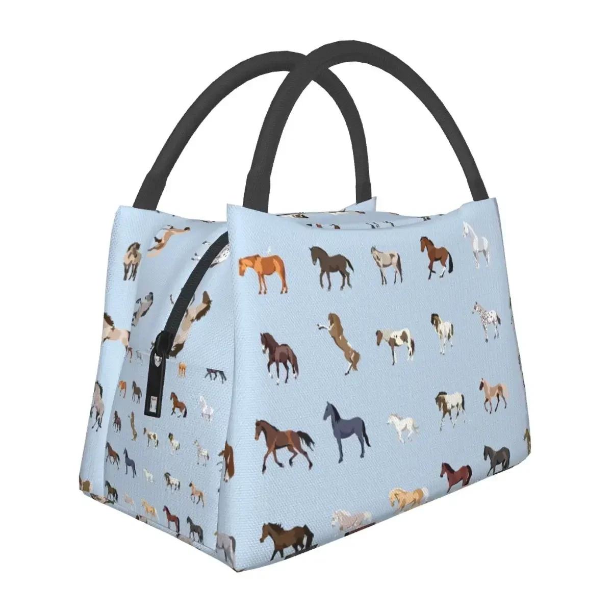 

Сумки для ланча с рисунком пород лошадей, изолированные коробки для бенто, герметичные сумки для пикника, термосумка-холодильник для женщин, студентов, офисов 28x17x16CM