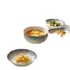 ZISIZ Underglaze Ceramic Dinnerware Set