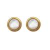 Gentle And Delicate Geometric Fritillary Stud Earrings, Niche And Versatile, Elegant And Simple, High-End Luxury Earrings, Women