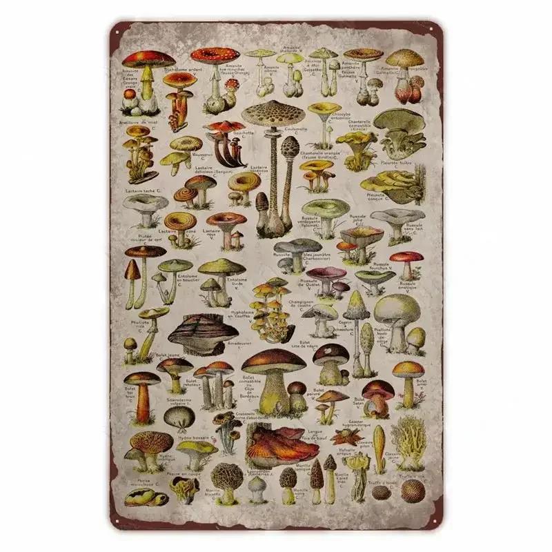 Retro Vegetable Plants Poster Vintage Fruits Metal Tin Sign Cauliflower Wall Art Sign Garden Kitchen Farm Flowers Plate Decor