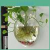 Acrylic Wall Creative Mounted Clear Round Fish Tank Flower Pot Vase Home Decor Decoration