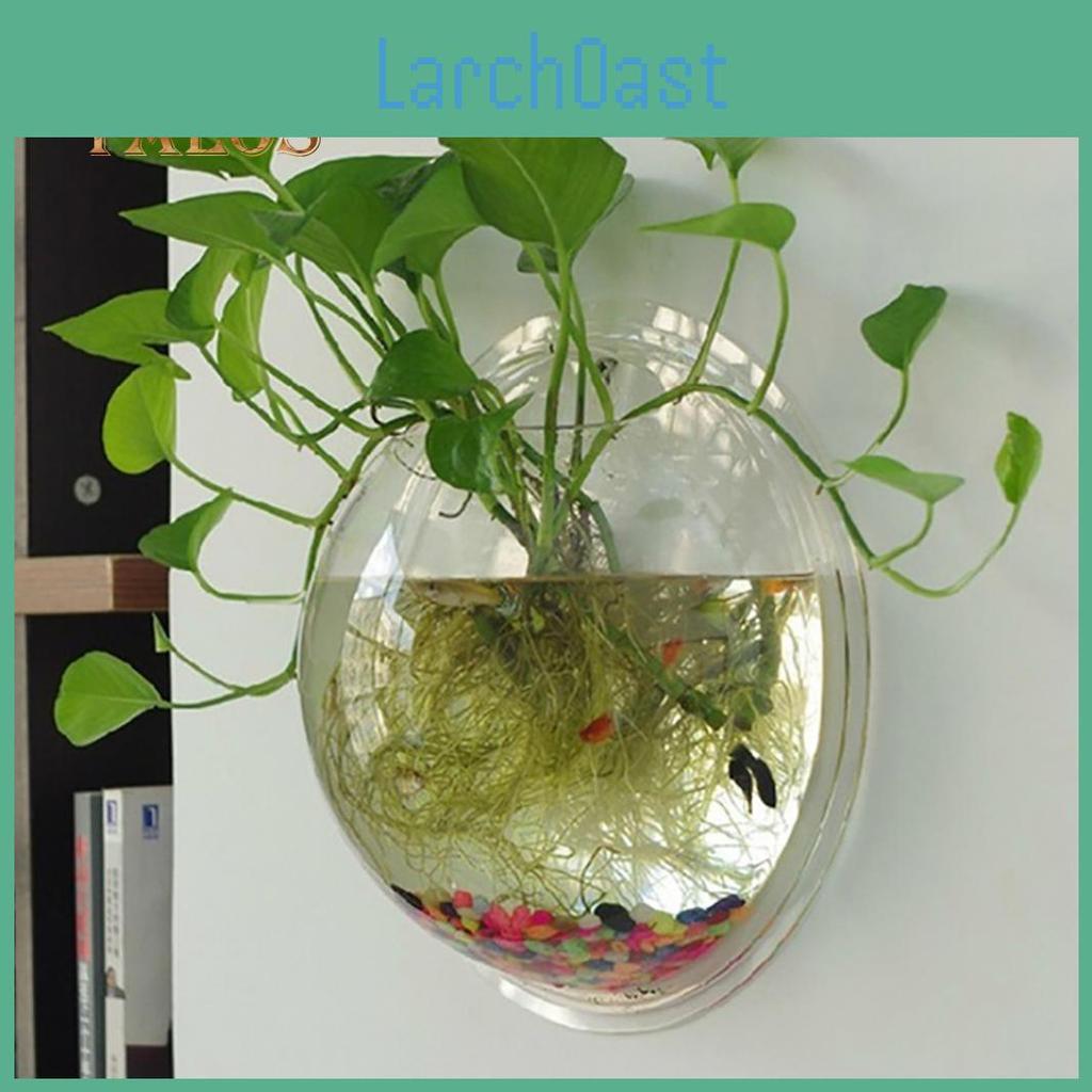 Acrylic Wall Creative Mounted Clear Round Fish Tank Flower Pot Vase Home Decor Decoration