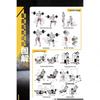 Yoga Cat Muscle Training Posters