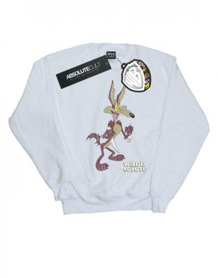 Moletom Masculino Wile E Coyote Desgastado