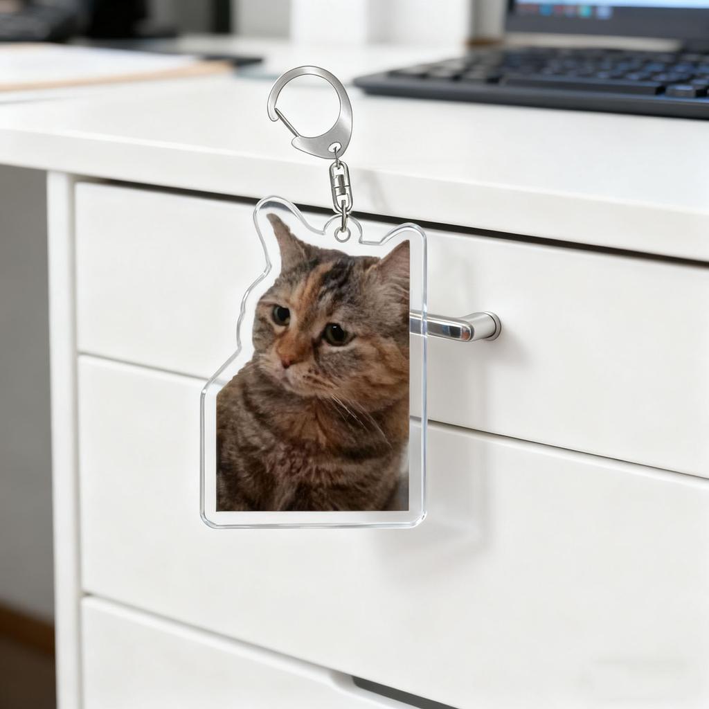 2d Acrylic Keychain Pendant Accessory, Popular Head Expression Keychain Sand Fun Meme Image Head Schoolbag Small Pendant.