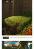 New Solar Octopus Clip Lamp: Outdoor Garden Courtyard & Home Spotlight