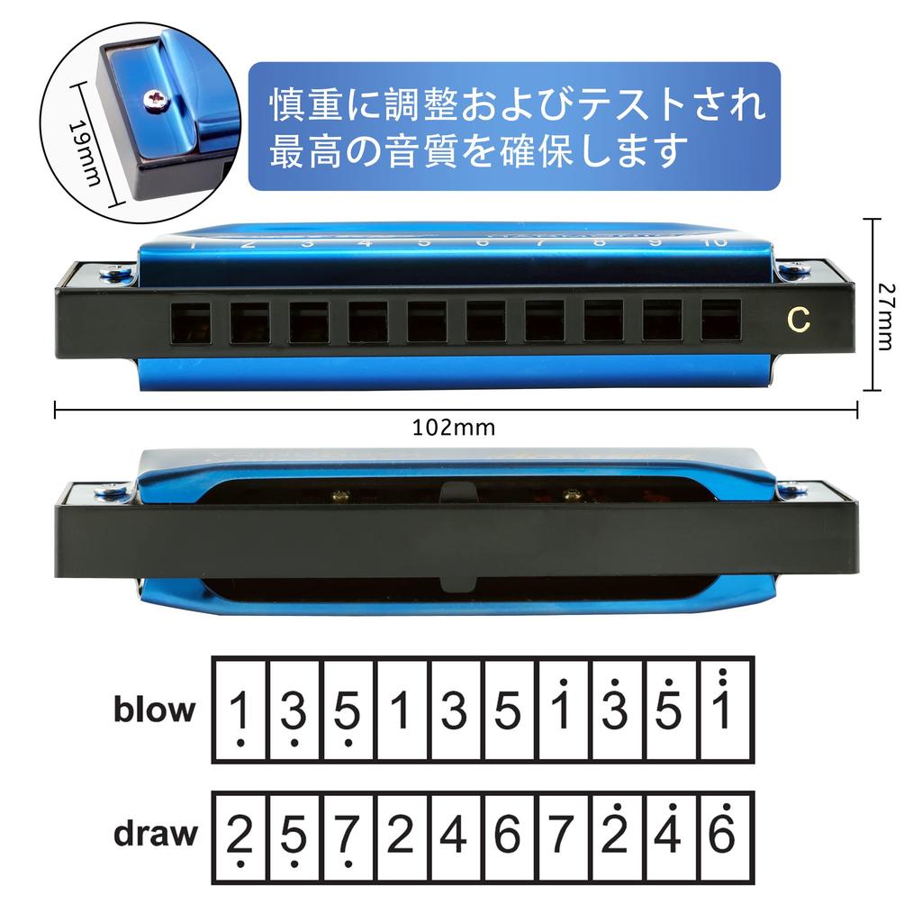 Harmonica East Top Blues pour Débutants et Acier Inoxydable C 10 20 ABS Chrome Bronze Phosphoreux Nettoyage Hermétique Bleu Convient pour et comme Cadeau pour